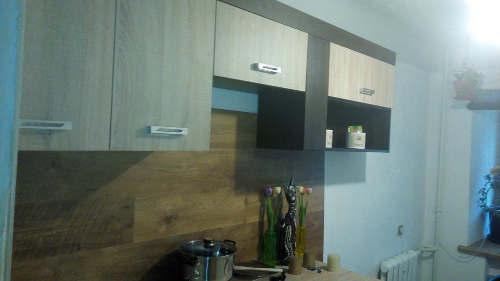 Picturesque Apartment Into Antique Fortress ダウガフピルス 部屋 写真