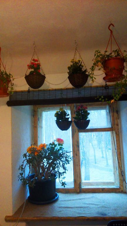 Picturesque Apartment Into Antique Fortress ダウガフピルス 部屋 写真