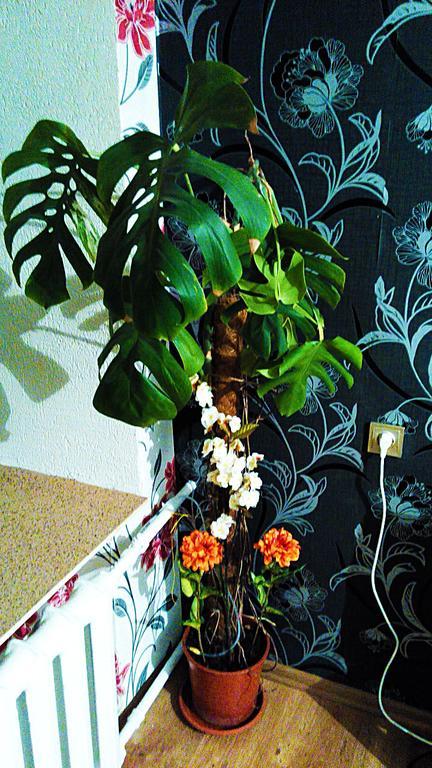 Picturesque Apartment Into Antique Fortress ダウガフピルス 部屋 写真
